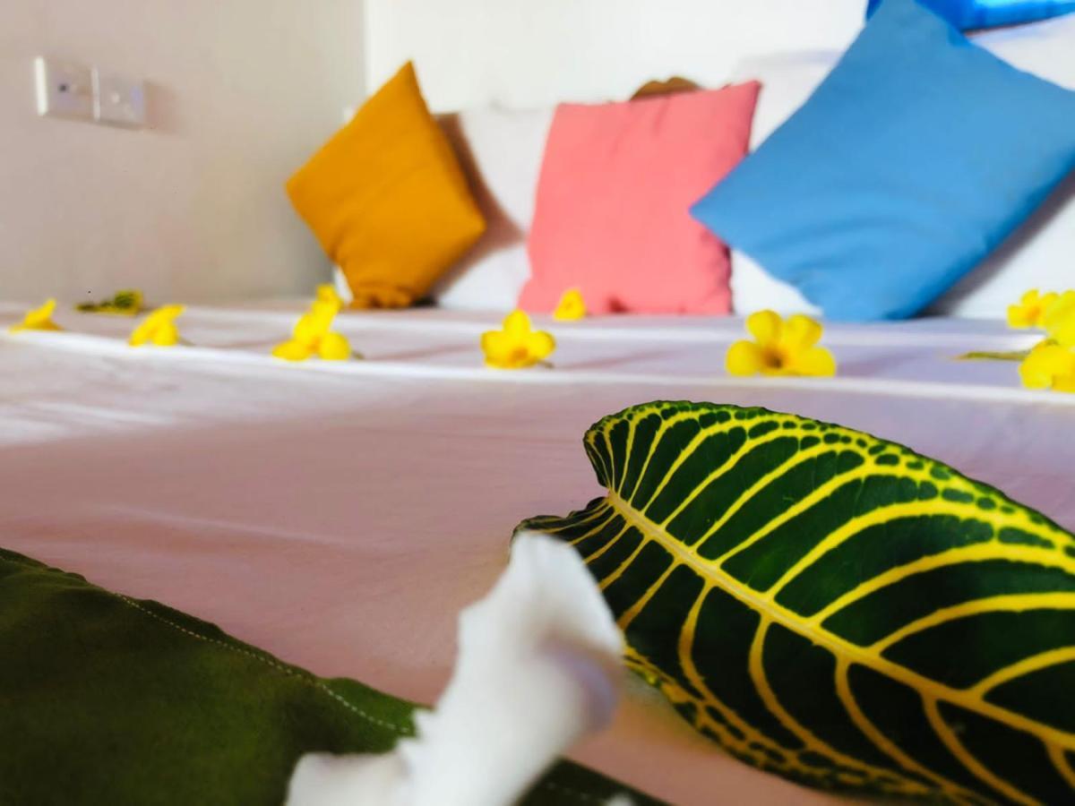 Rock Paradise Beach Hotel & Restaurent 坦加拉 外观 照片